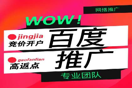 百度推广平台实战经验：案例解析，助力企业成长
